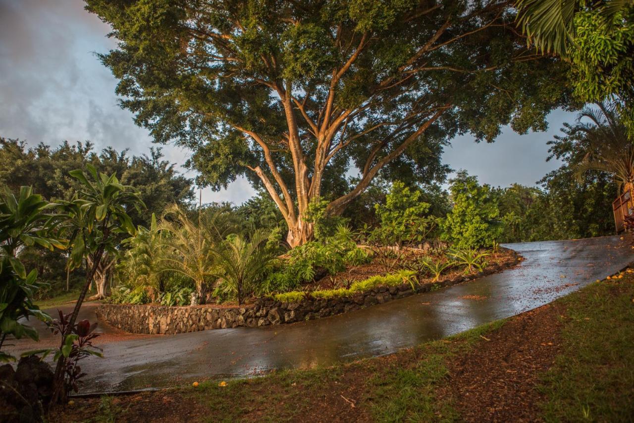 Banyan Tree Sanctuary Guest House Kalaoa Экстерьер фото